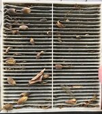 cabin filter.jpg