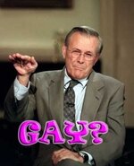 gayrumsfeld.jpg