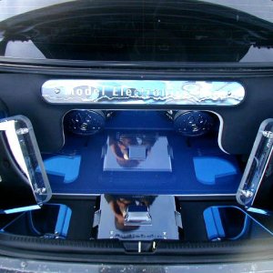 trunk(system).jpg
