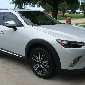 CX-3 Tint.jpg