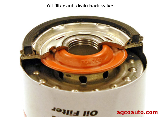 timing_chain_oil_filter_drain_back_valve.jpg