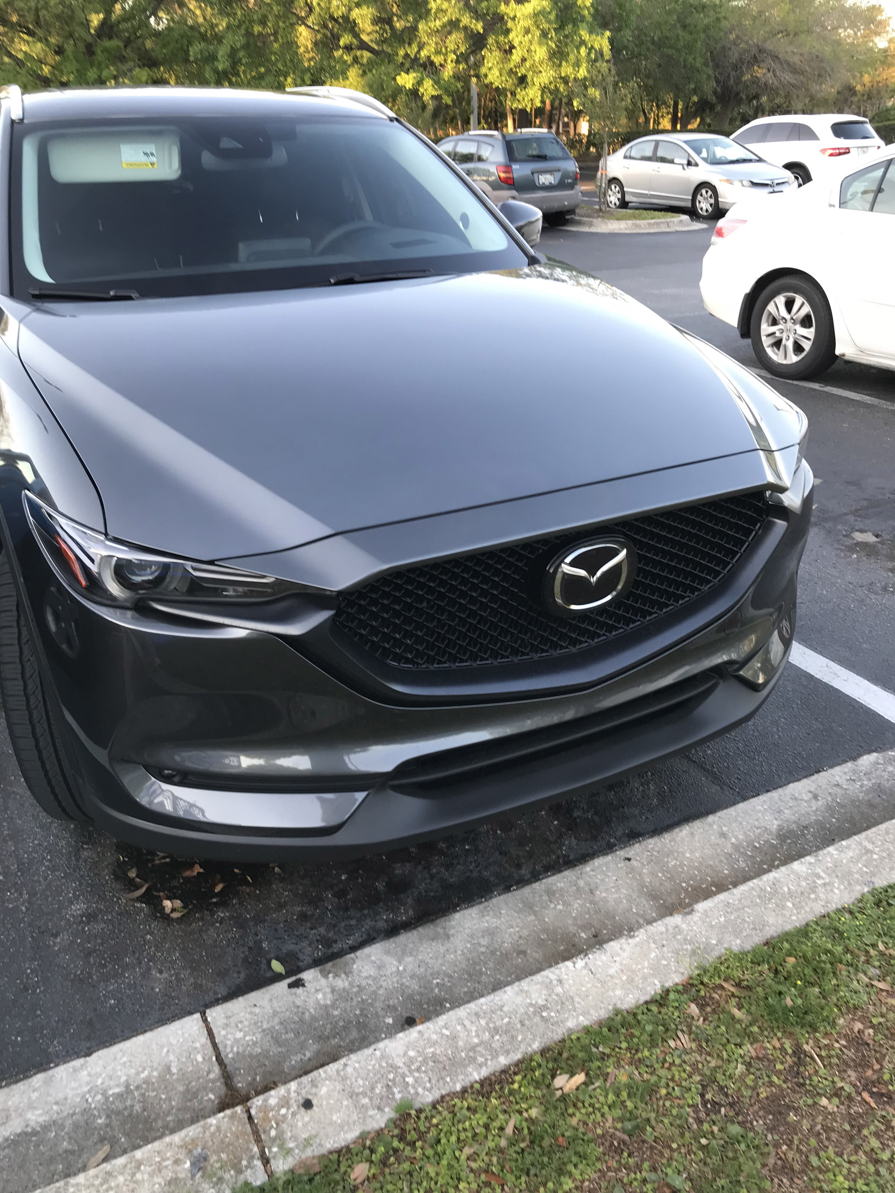 Front Grill Black Out How To Remove Mazdas247